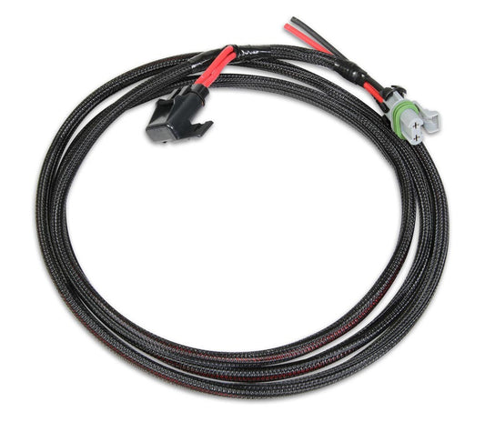 HOLLEY EFI Wiring Harness